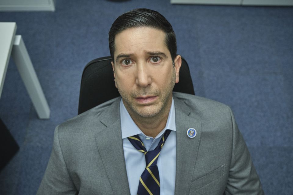 David Schwimmer 