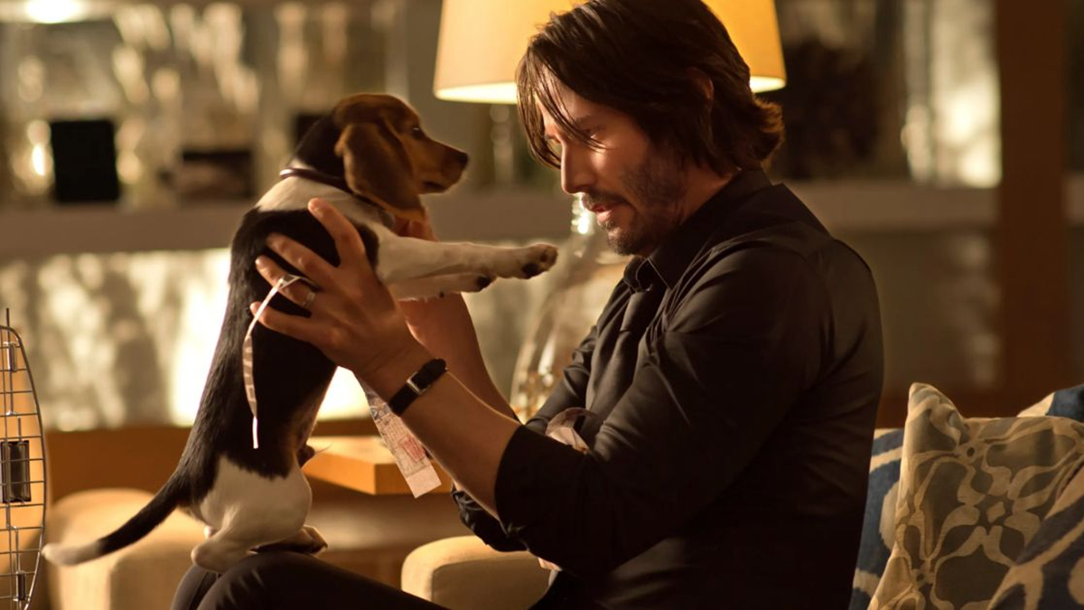 Mister Movie | I registi di John Wick hanno lottato per mantenere la morte del cane nel film