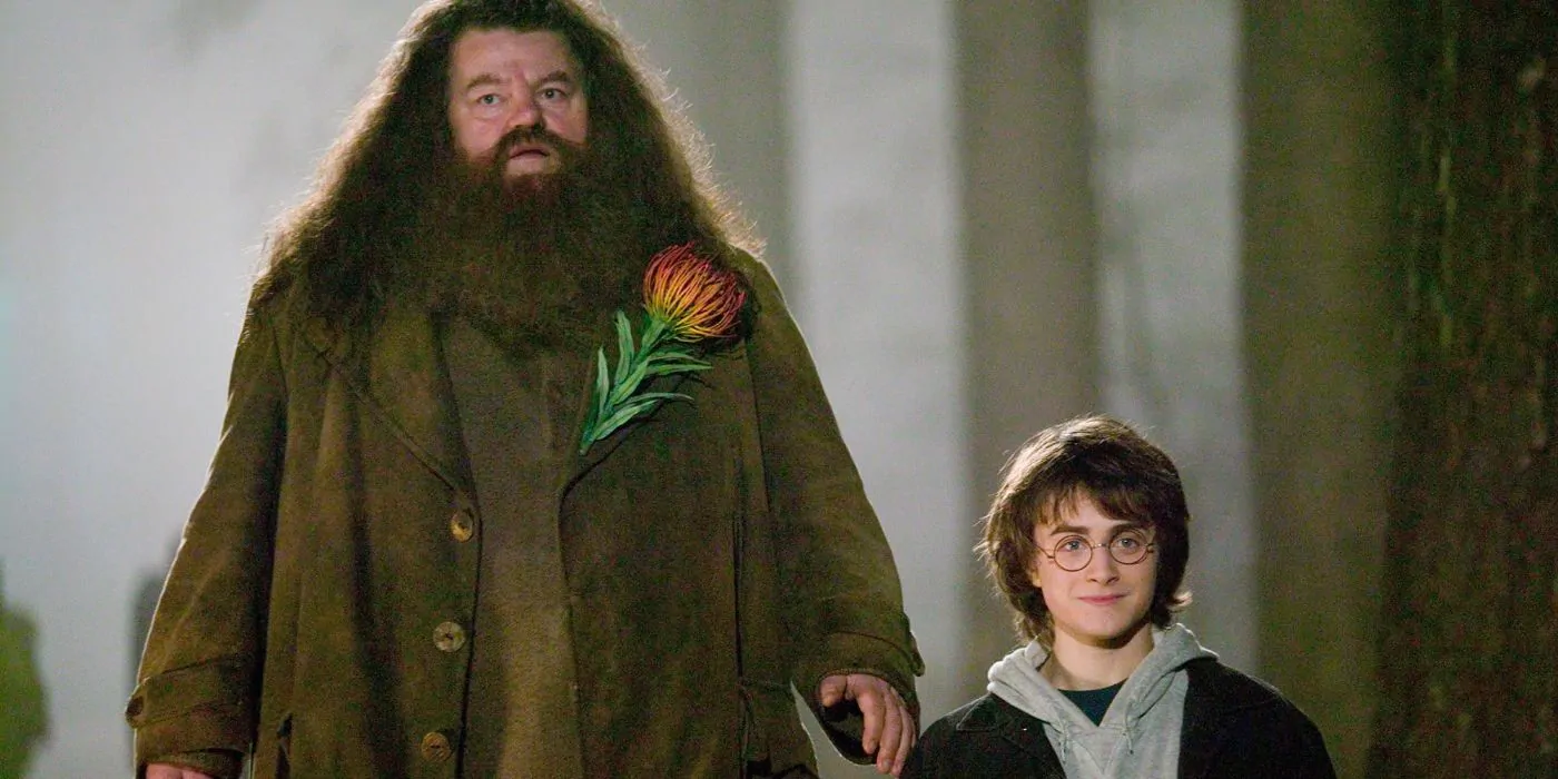 Mister Movie | Il Segreto di Hagrid nei film di Harry Potter, l’altezza, il robot e gli effetti speciali